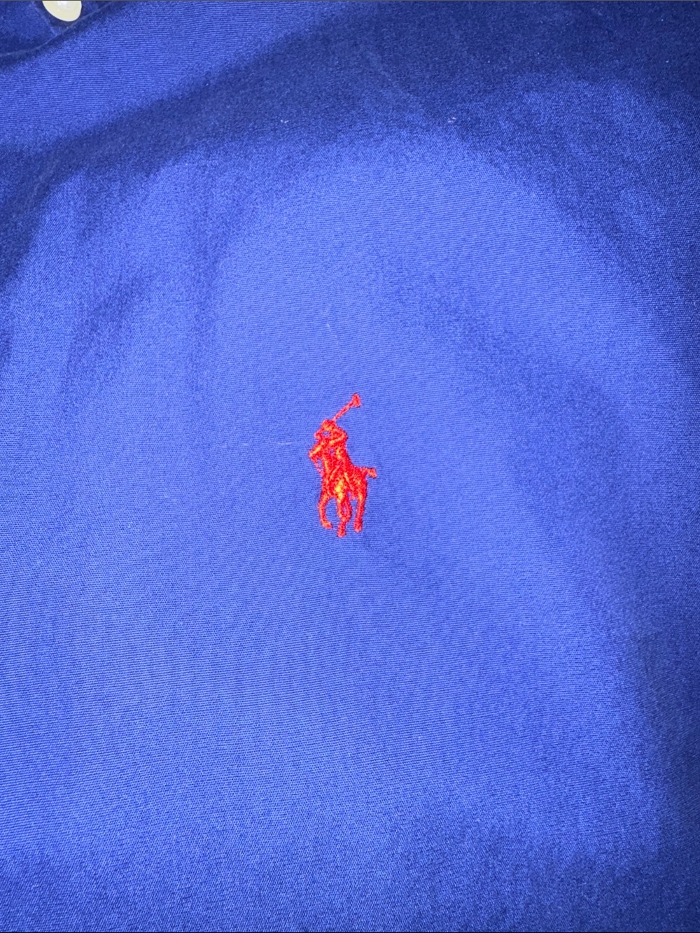 Polo by Ralph Lauren Blue Casual Button-Down Shirt with Red Pony Logo
